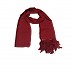 Georgette stole with feathers attached to it Georgette stole with feathers attached to it